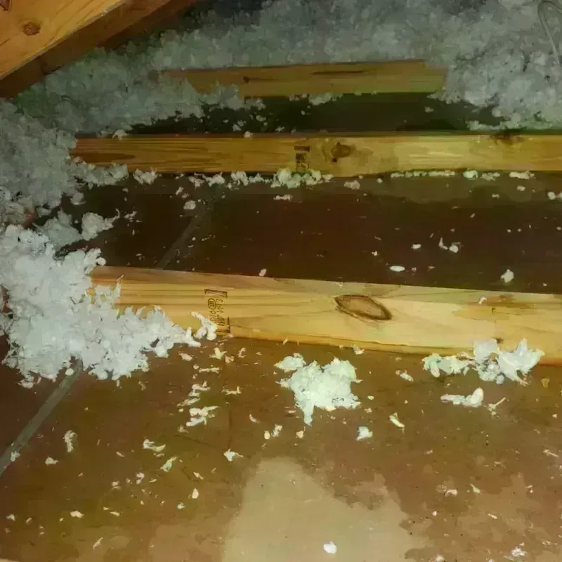 Attic Water Damage in Southport, IN